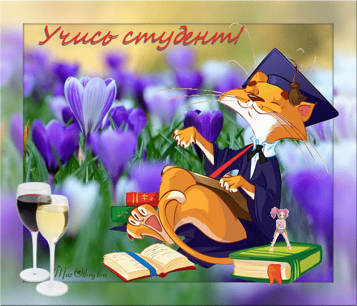 160 картинок с Днем студента 2023. Анимированные открытки