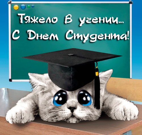 160 картинок с Днем студента 2023. Прикольные анимированные открытки