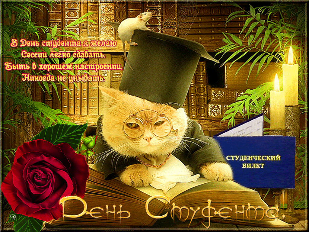160 картинок с Днем студента 2023. Красивые гифки
