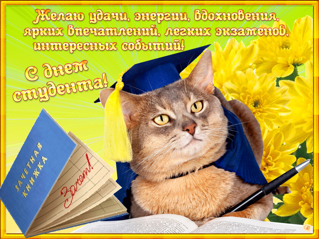 160 картинок с Днем студента 2023. Анимированные открытки