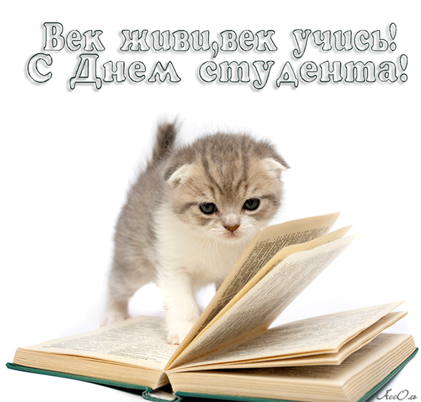 160 картинок с Днем студента 2023. Красивые гифки