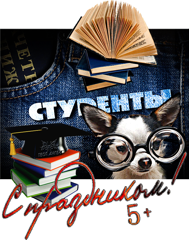 160 картинок с Днем студента 2023. Гифки