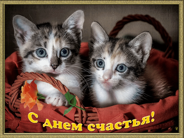 Картинки с Международным днем счастья (110 открыток). Анимированные гифки