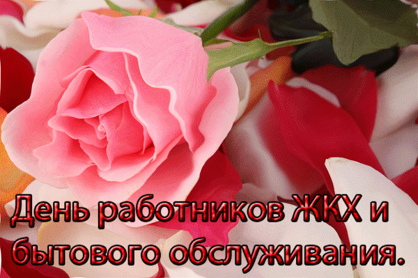 Картинки с Днем работников ЖКХ (100 открыток). Гифки