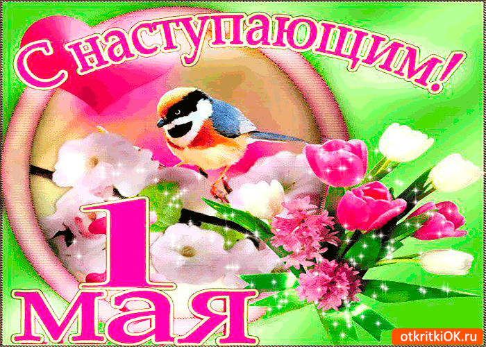 Картинки с наступающим 1 мая (20 открыток). Гифки