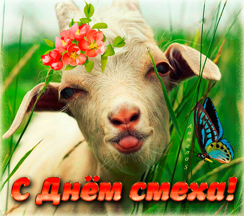 Картинки с 1 апреля - Днем смеха (110 открыток). Гифки