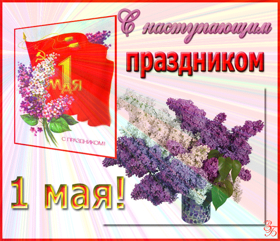 Картинки с наступающим 1 мая (20 открыток). Гифки