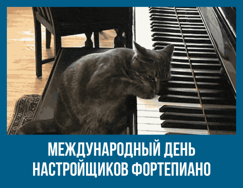 Картинки с Международным днем настройщиков фортепиано (10 открыток). Прикольные гифки