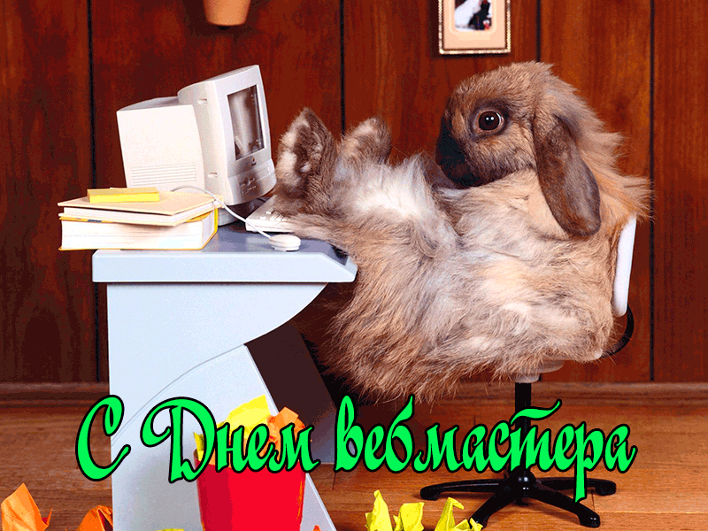 Картинки с Днем веб-мастера (70 открыток). Гифки