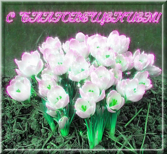 Картинки с Благовещением Пресвятой Богородицы (360 открыток). Гифки анимация