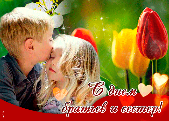 Картинки с Днем братьев и сестер (65 открыток). Гифки