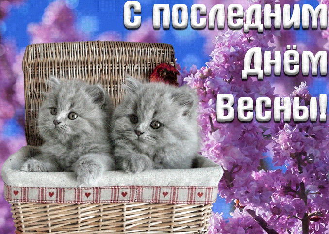 Картинки с последним днем весны (100 открыток). Гифки и мерцающие открытки с последним днем весны