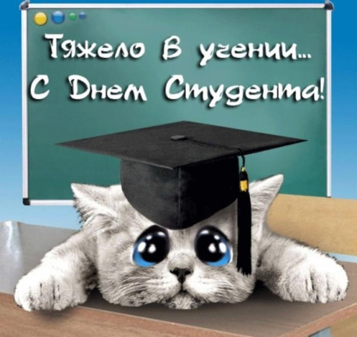 160 картинок с Днем студента 2023. Прикольные