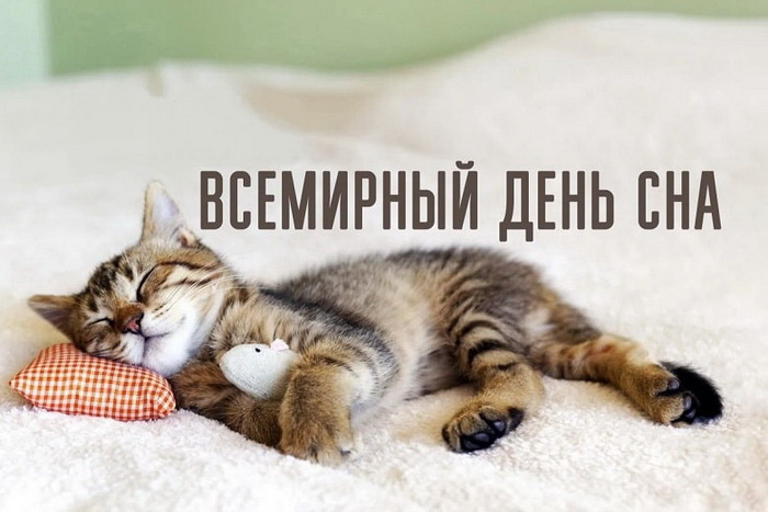 Картинки со Всемирным днем сна (45 открыток).