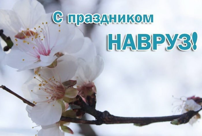 Картинки с праздником Навруз (120 открыток).