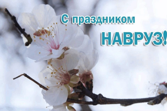 Картинки с праздником Навруз (120 открыток).