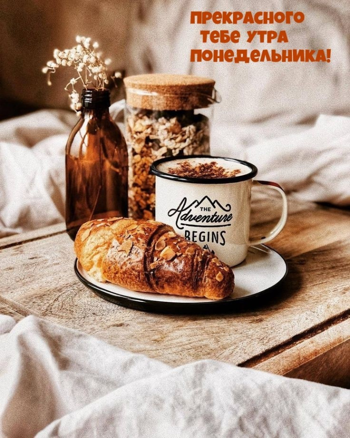 Картинки с Добрым утром понедельника (260 открыток).