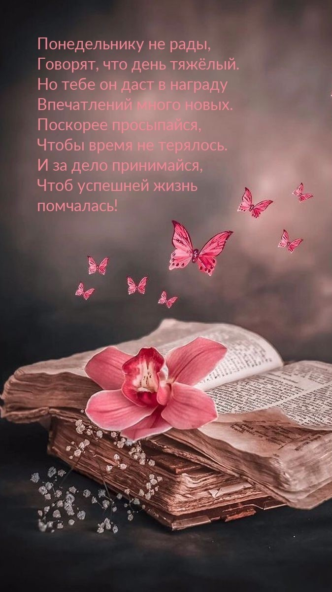 Картинки с Добрым утром понедельника (260 открыток).