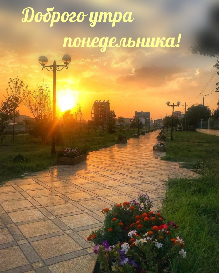 Картинки с Добрым утром понедельника (260 открыток).