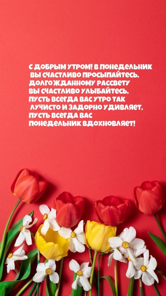 Картинки с Добрым утром понедельника (260 открыток).