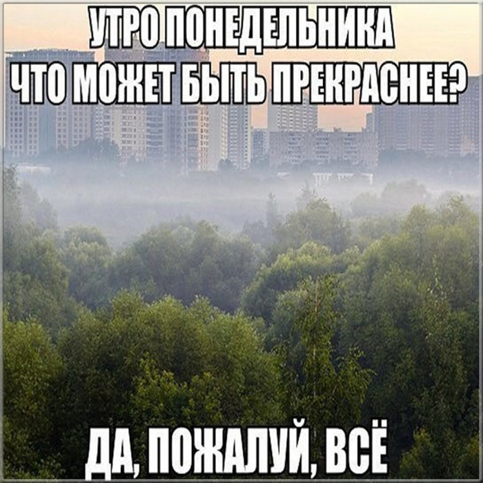 Картинки с Добрым утром понедельника (260 открыток).