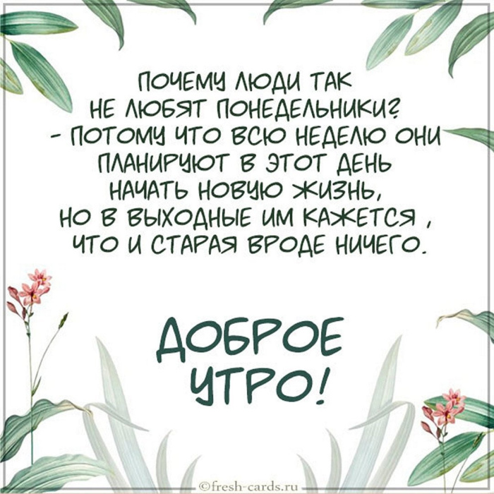 Картинки с Добрым утром понедельника (260 открыток).