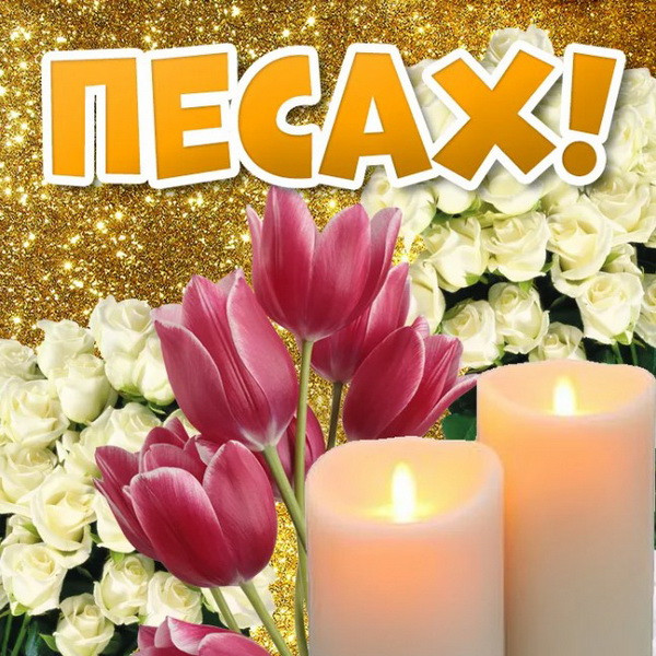 Картинки с праздником Песах (70 открыток). Картинки с надписями