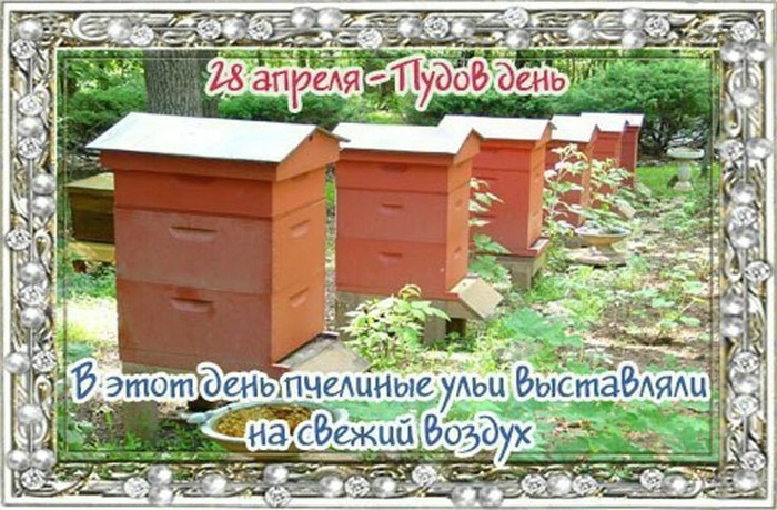 Открытки на Пудов день (14 картинок).