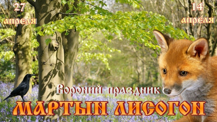 Картинки с Мартыном Лисогоном (15 открыток).