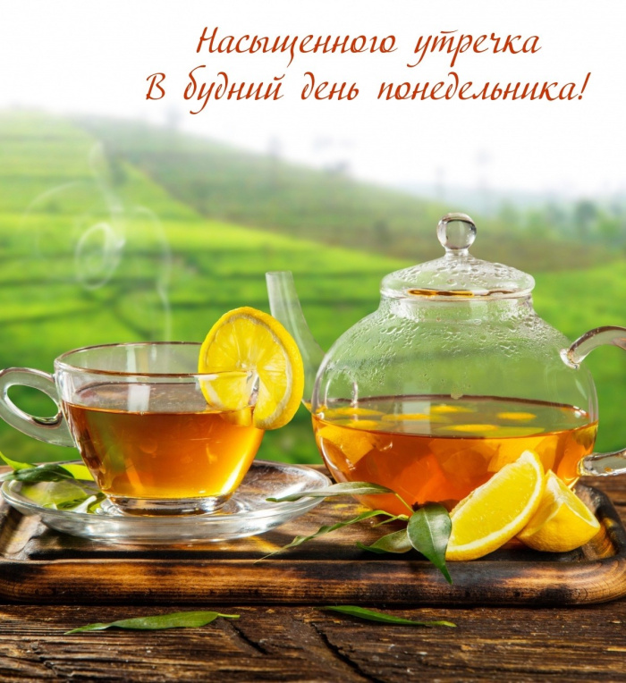 Картинки с Добрым утром понедельника (260 открыток).