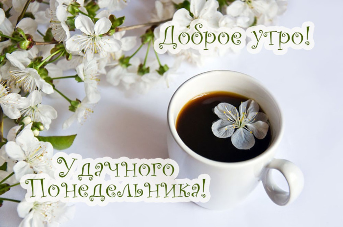 Картинки с Добрым утром понедельника (260 открыток).