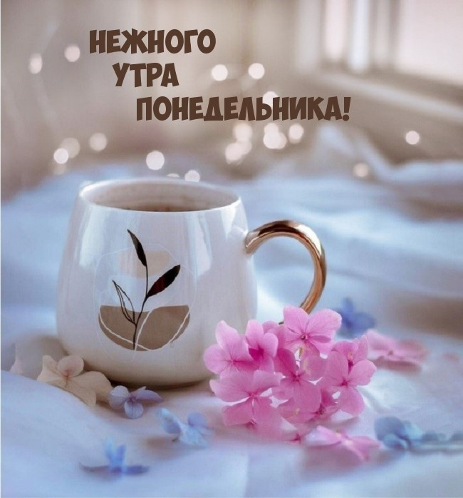 Картинки с Добрым утром понедельника (260 открыток).