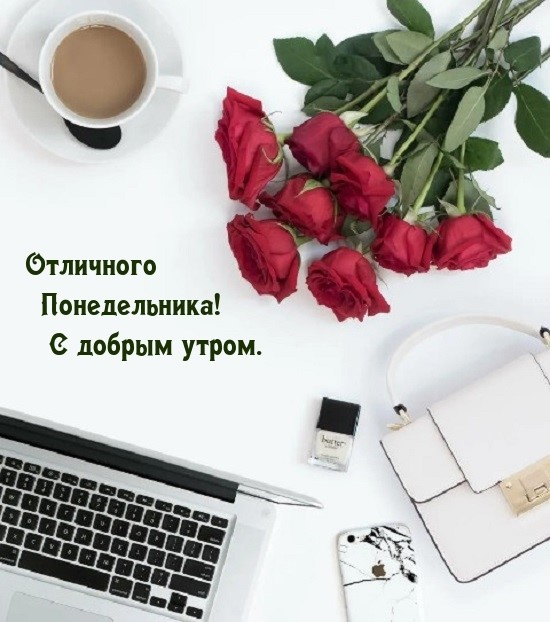 Картинки с Добрым утром понедельника (260 открыток).