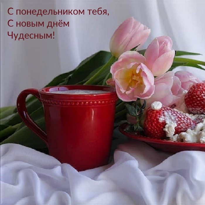 Картинки с Добрым утром понедельника (260 открыток).