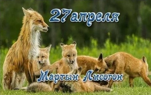 Картинки с Мартыном Лисогоном (15 открыток).