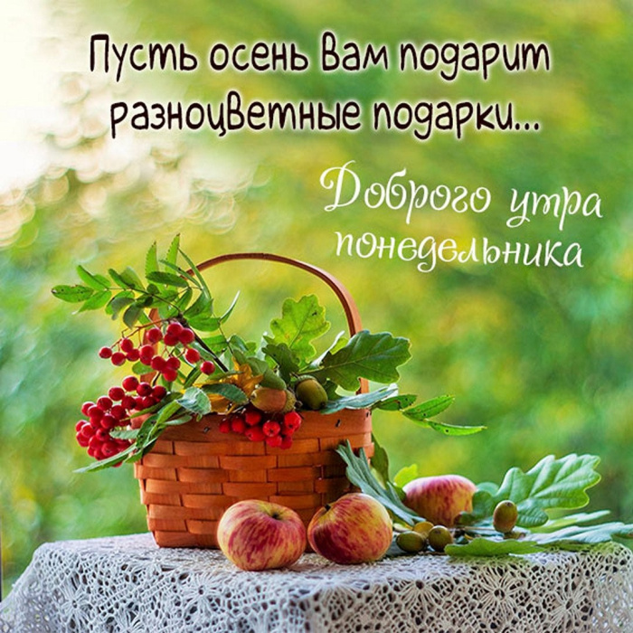 Картинки с Добрым утром понедельника (260 открыток).