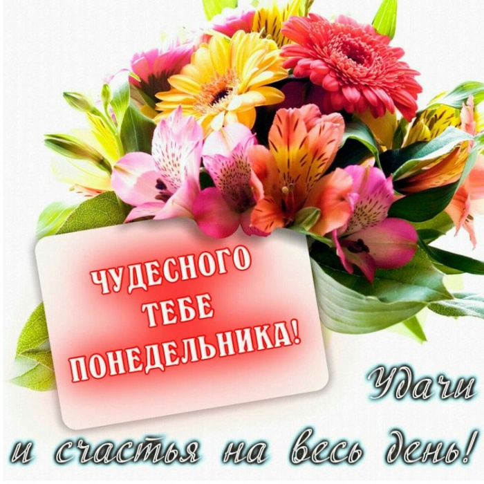 Картинки с Добрым утром понедельника (260 открыток).