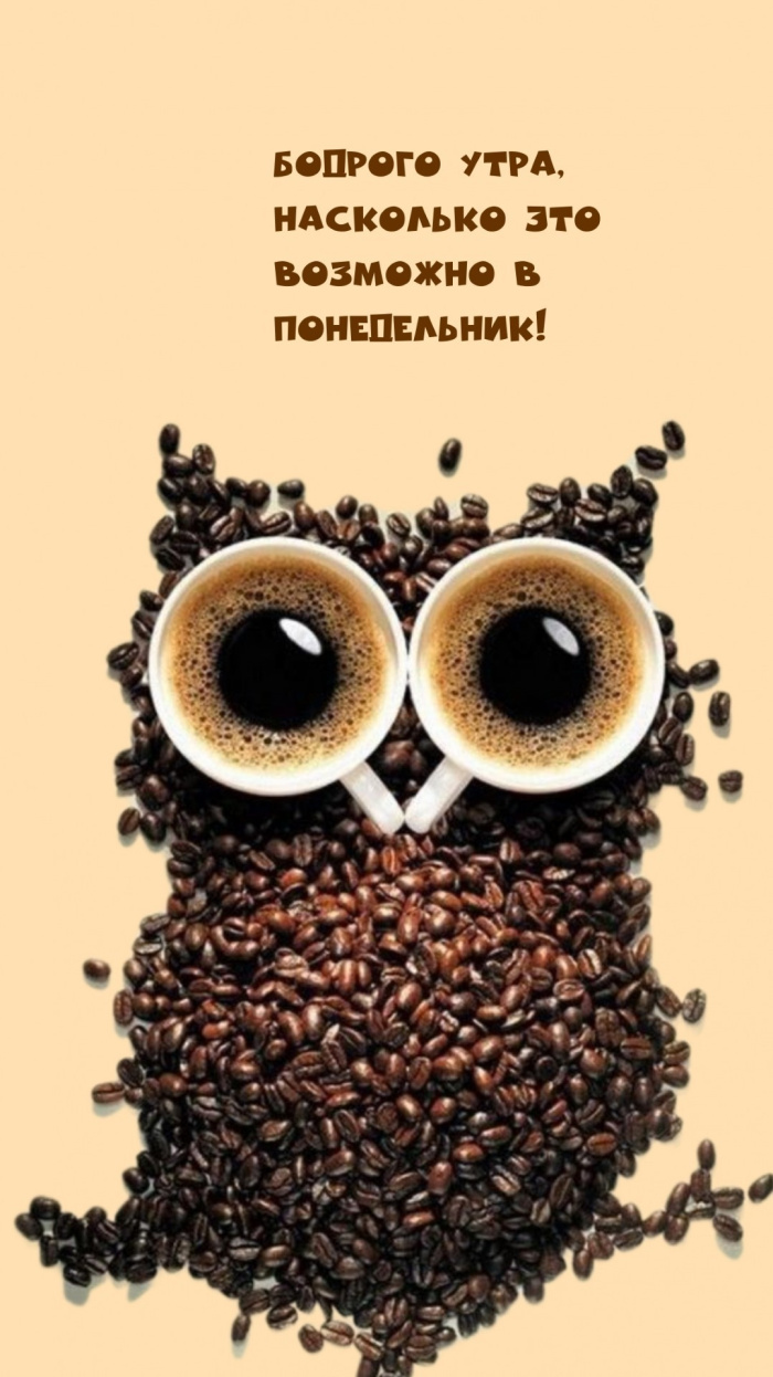 Картинки с Добрым утром понедельника (260 открыток).