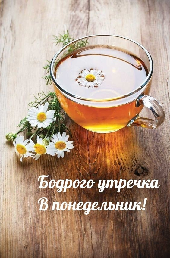 Картинки с Добрым утром понедельника (260 открыток).