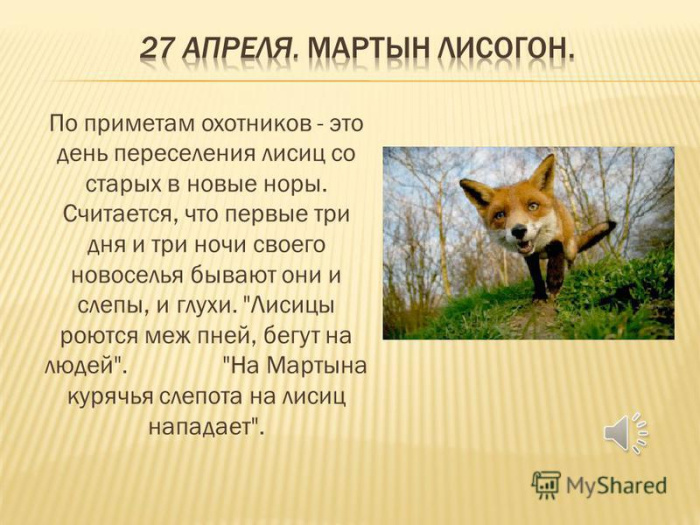 Картинки с Мартыном Лисогоном (15 открыток).