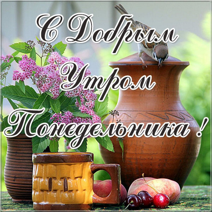 Картинки с Добрым утром понедельника (260 открыток).