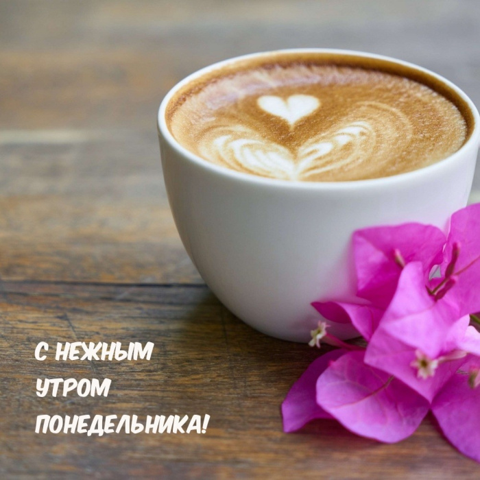 Картинки с Добрым утром понедельника (260 открыток).