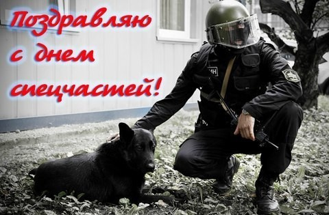 Картинки с Днем спецчастей ВВ МВД России (15 открыток).
