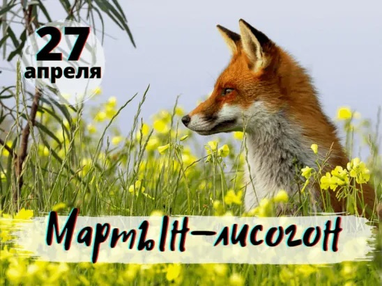 Картинки с Мартыном Лисогоном (15 открыток).