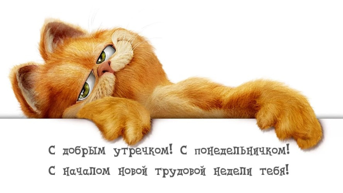 Картинки с Добрым утром понедельника (260 открыток).