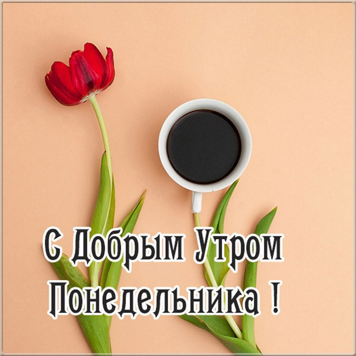 Картинки с Добрым утром понедельника (260 открыток).