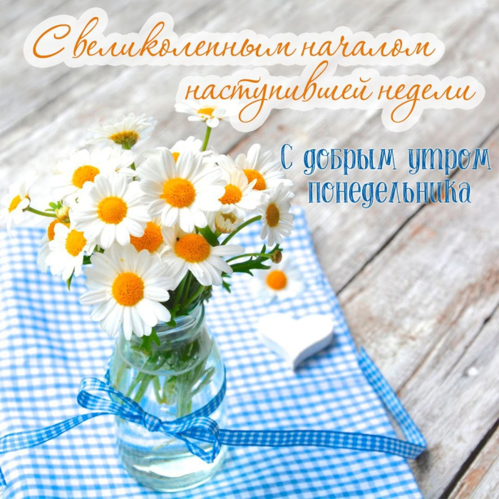 Картинки с Добрым утром понедельника (260 открыток).