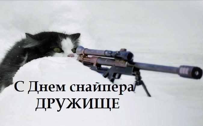 Картинки с Днем снайпера (15 открыток).