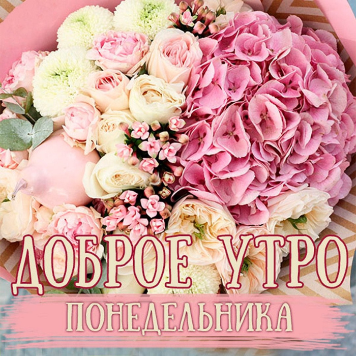 Картинки с Добрым утром понедельника (260 открыток).