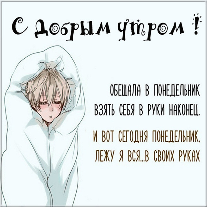 Картинки с Добрым утром понедельника (260 открыток).